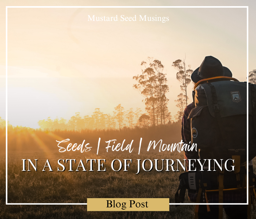 In a State of Journeying