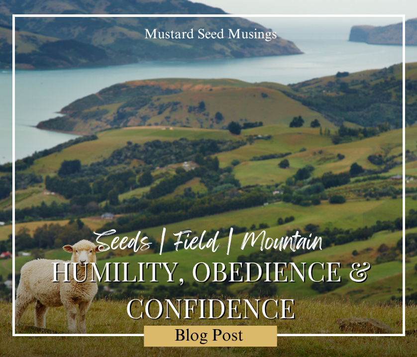 Humility, Obedience, and Confidence
