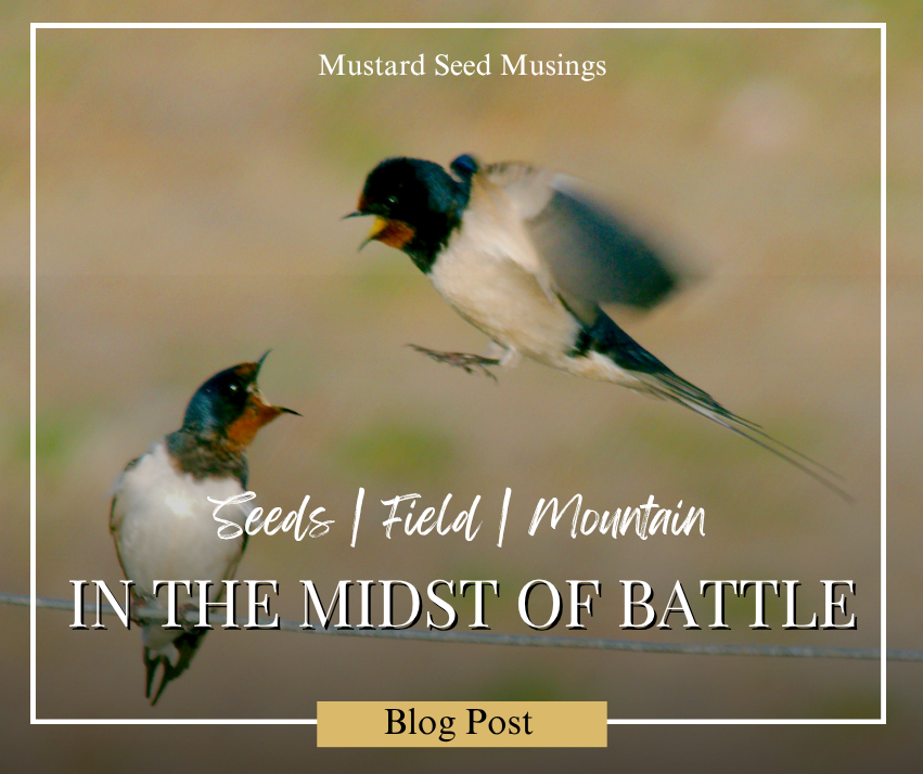 In the Midst of Battle