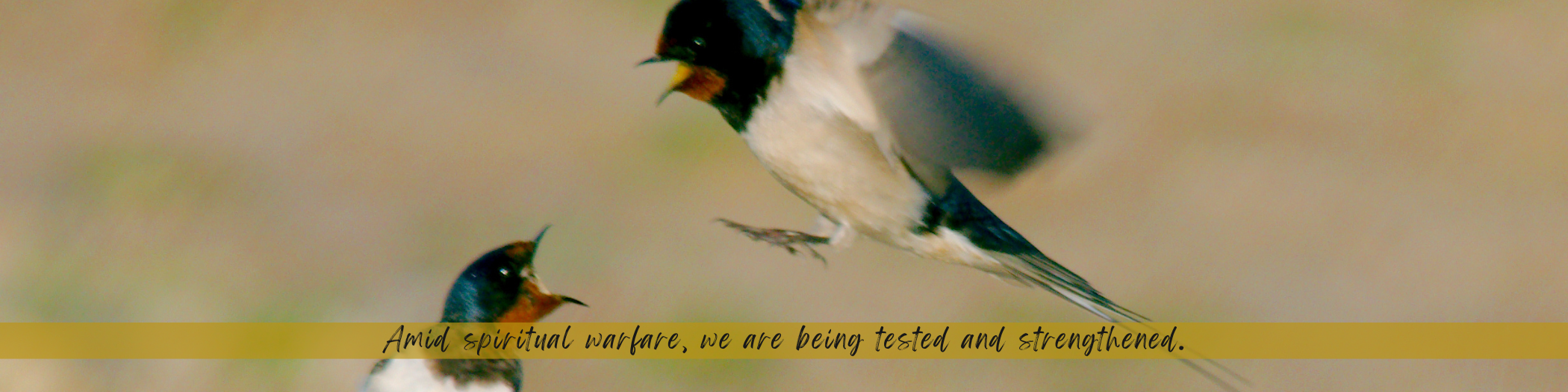 In the Midst of Battle